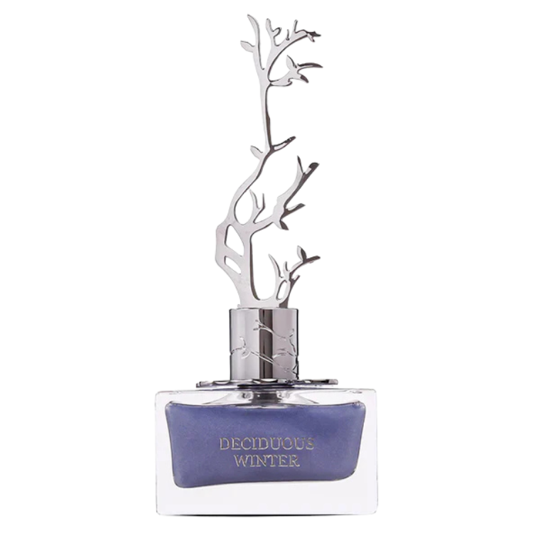 Arura Delicious Winter 100ml